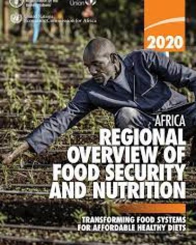 Africa Regional Overview of Food Security and Nutrition 2020